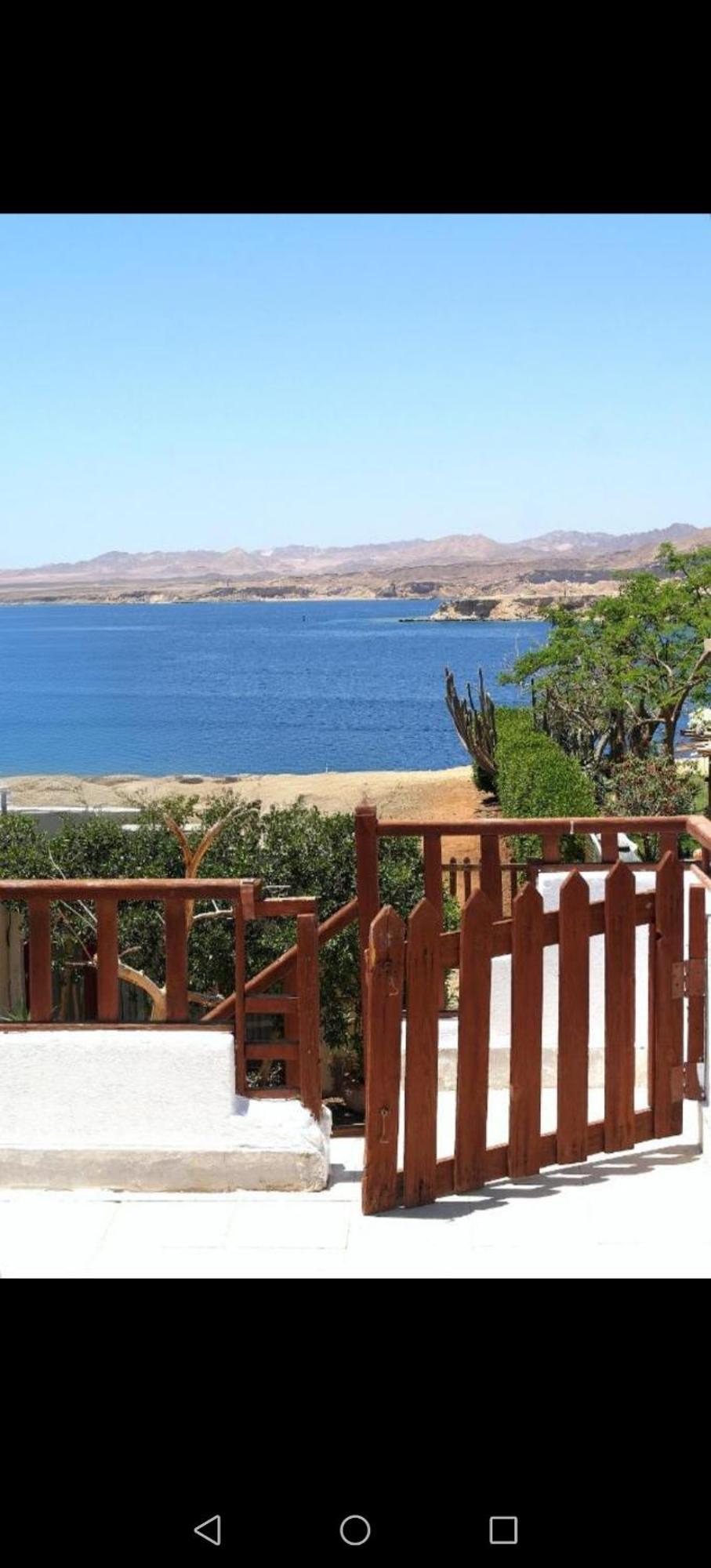 Abouseif Guest House Sharm el-Sheikh Phòng bức ảnh