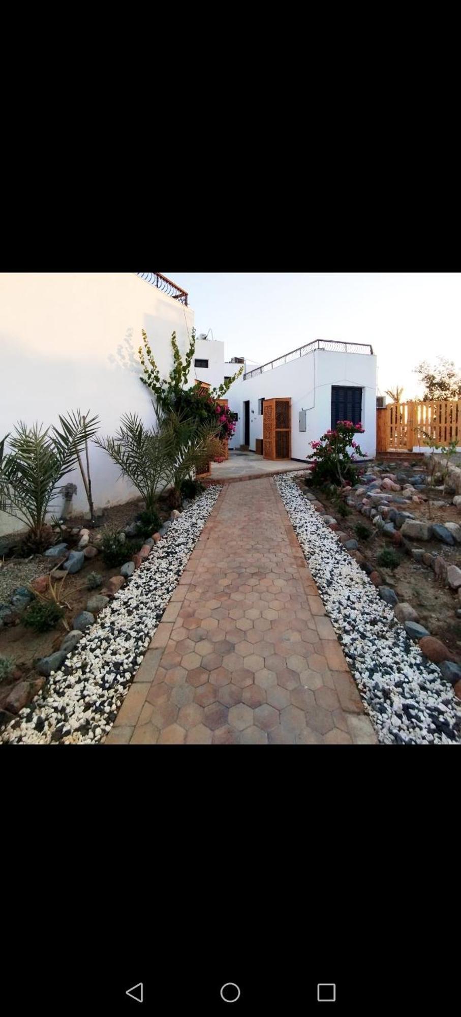 Abouseif Guest House Sharm el-Sheikh Phòng bức ảnh